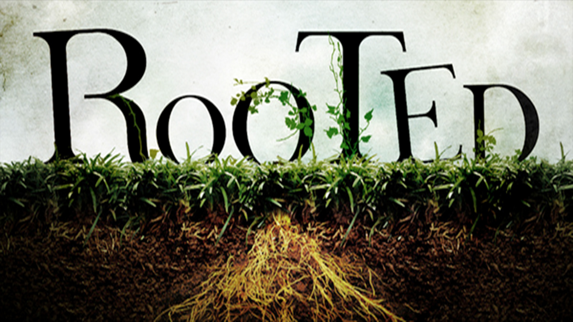 Rooted